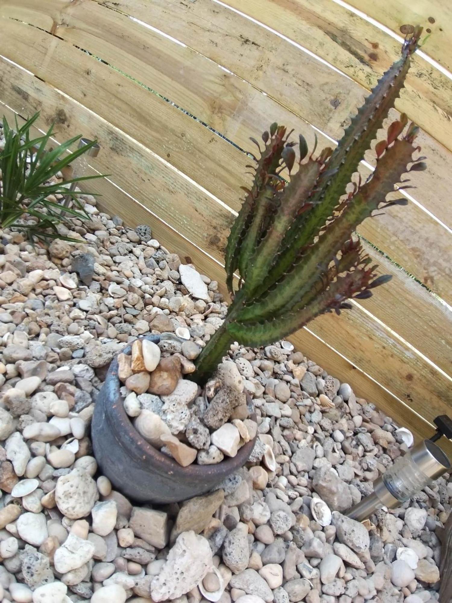 Holiday home Mexicana Fougere (Vendee)